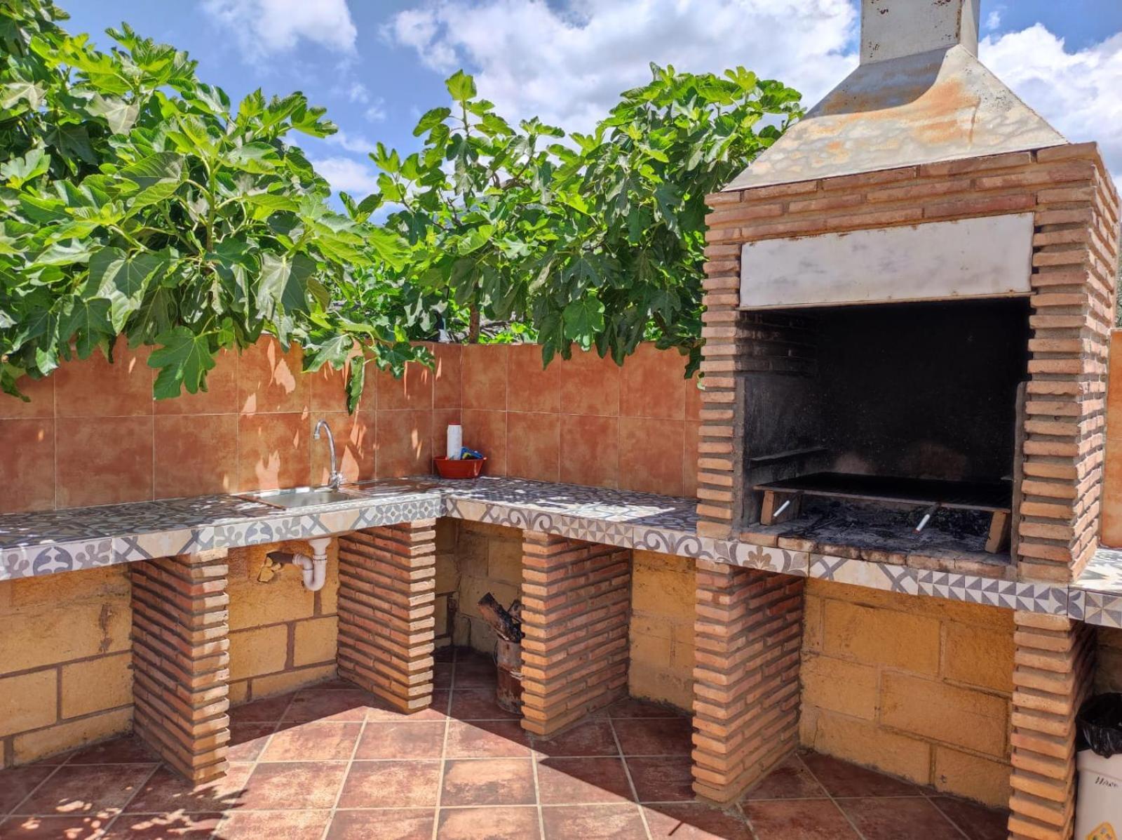 Los Olivos 말라가 외부 사진